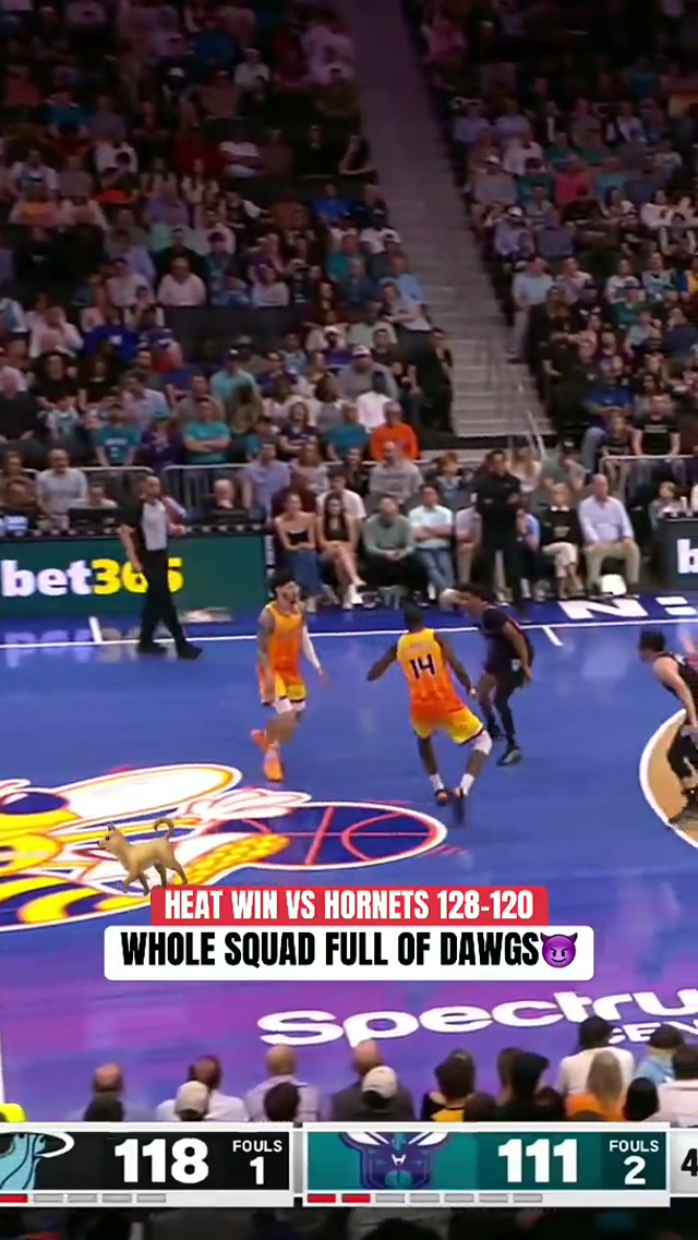 Chat.. are we?👀 #basketball #winning #defense #steal #sequence 