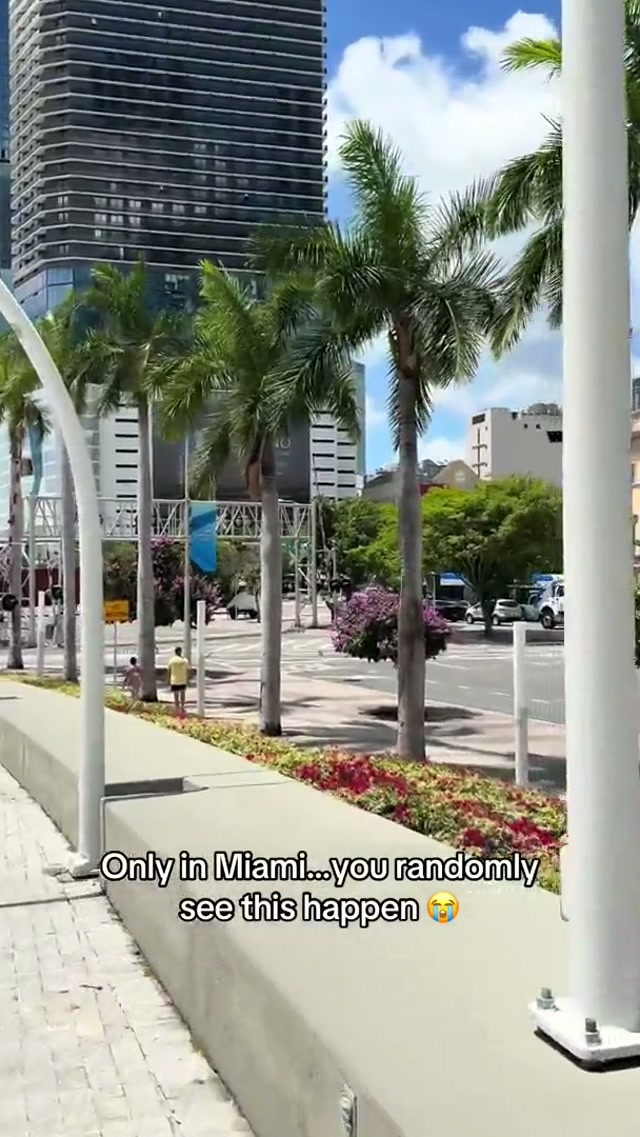Just casually seeing Burnie scooting down the street 🤣 #mascot #miami #viral #dadecounty305 #305 