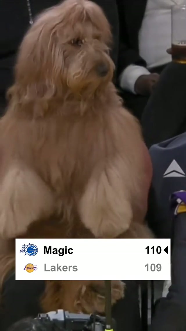 GIVE ME MY THEME MUSIC 🎶😤 #NBA #OrlandoMagic 