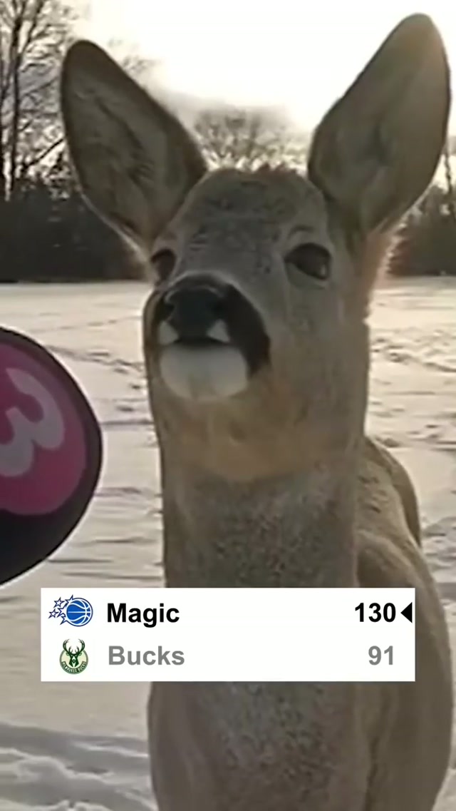 ORLANDO MAGIC OH OH OHHHH 🗣️🗣️🗣️ #NBA #OrlandoMagic 