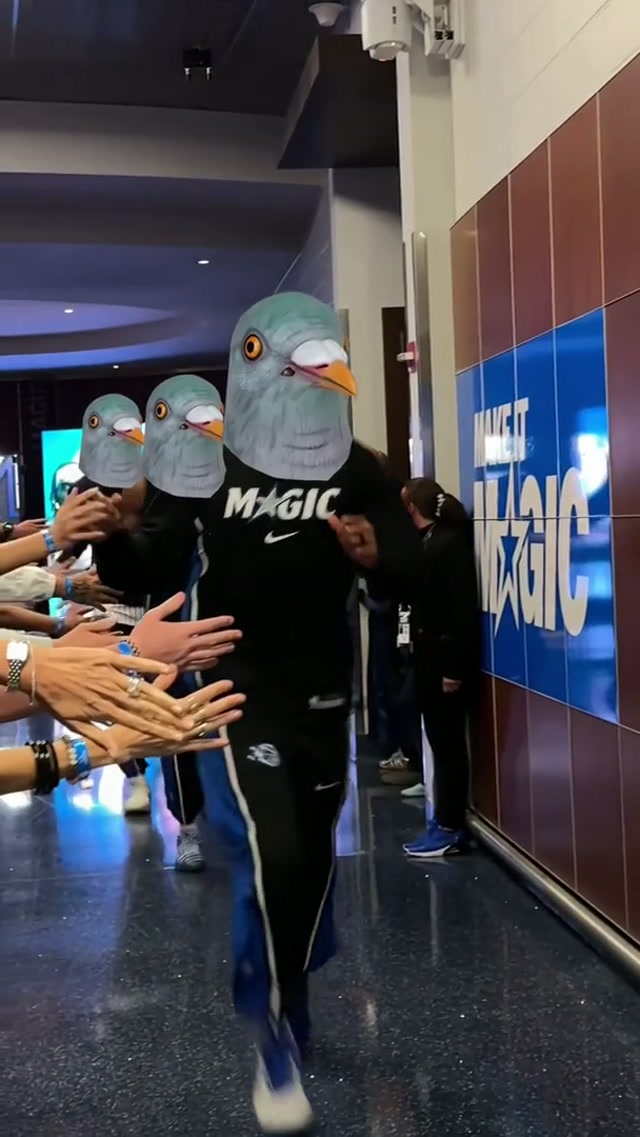 ready to take the court 😤 #NBA #OrlandoMagic #pigeondoctor 