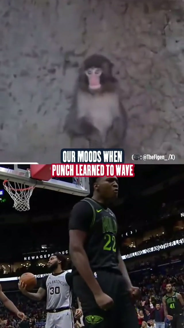 everyone wave back 🥹 #punch #monkey #proud #mood #proudofyou 