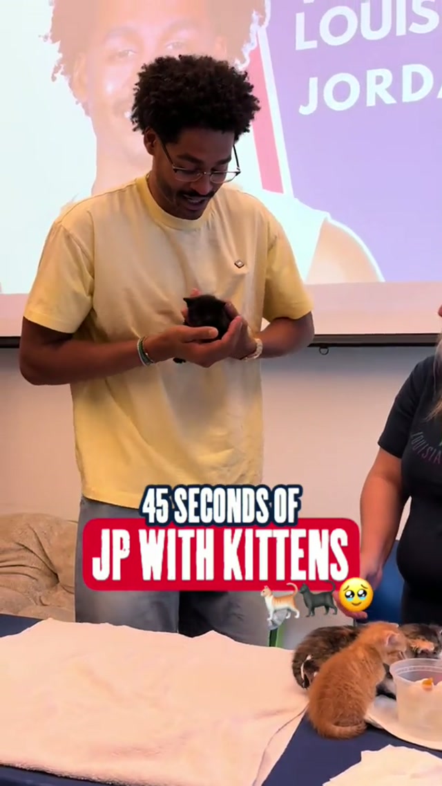 ur welcome 🙂‍↕️ #jp #jordanpoole #catsoftiktok #asmr #kitten 