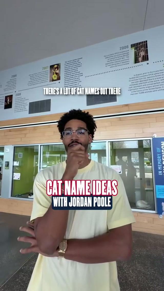 if you needed a cat name, here are a few by yours truly JP3 #jordanpoole #catsoftiktok #names #list #wholesome 