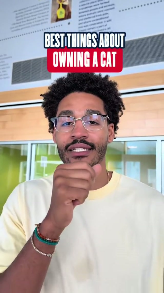 Cat owners unite 🐱 #NationalPetDay #cat #catsoftiktok #petsoftiktok #JordanPoole 
