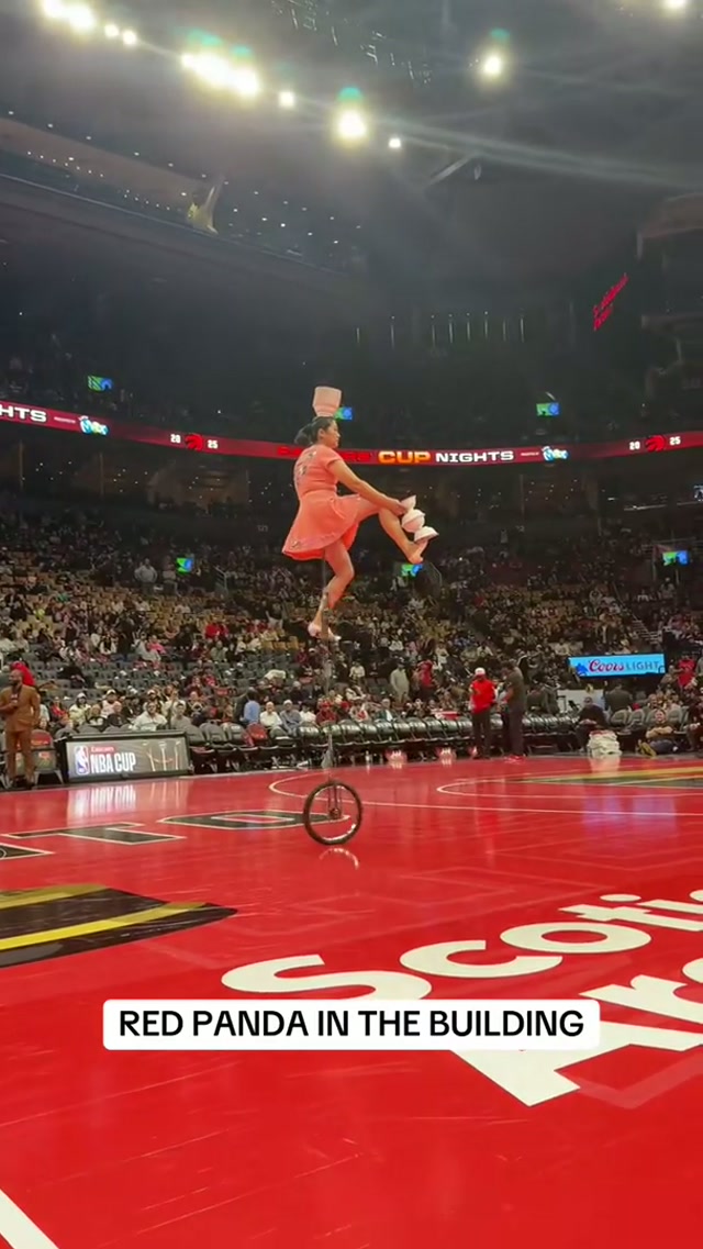 THE GOAT DOING GOAT THINGS #redpanda #redpandanba #fyp 