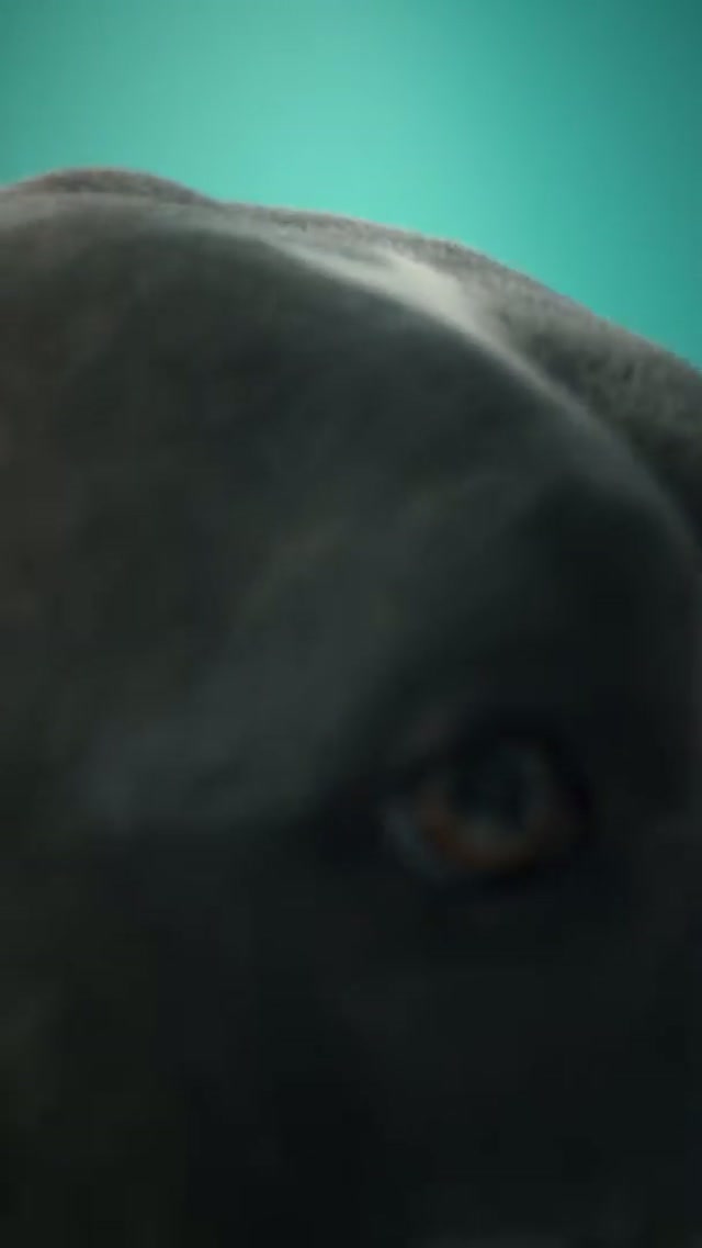 The cutest photoshoot you'll see 🥹

🎥 Watch the newest episode of Open Gym presented by @Bell Canada 