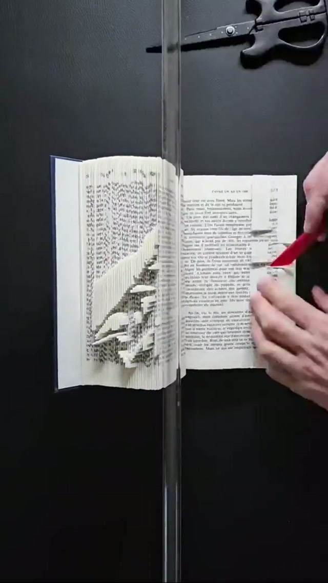 Only one story like Stephen’s #nba #booktok #artistsoftiktok @Book Master 