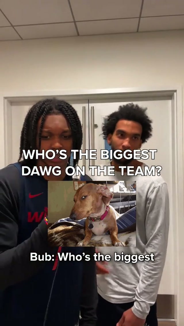 buncha dawgs out here 🐶 #washingtonwizards #dawg #qotd #nba 