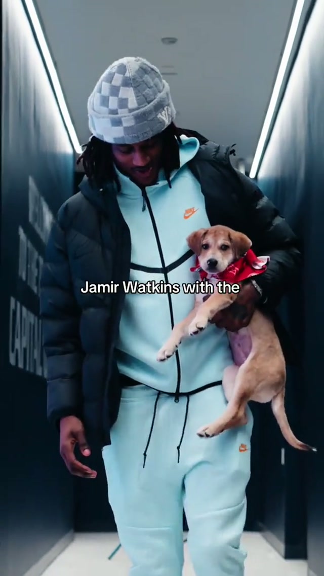 they got that dawg with ‘em 🙂‍↕️ #dogsoftiktok #washingtonwizards #dawg #nba #fitcheck
