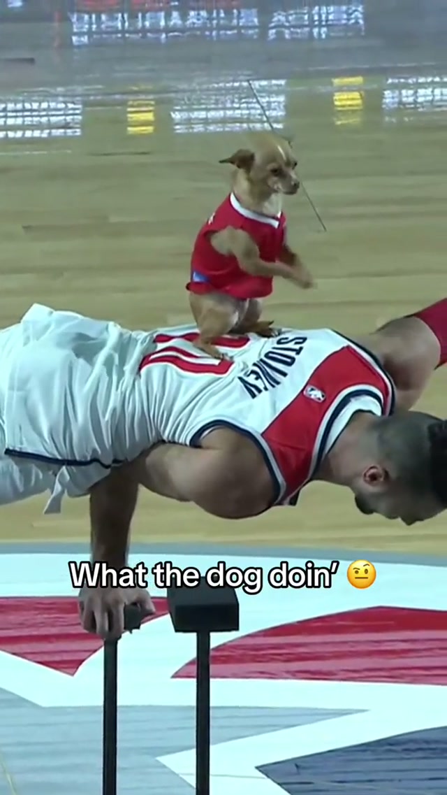 Christian and Scooby puttin’ on a show tonight 🍿#washingtonwizards #entertainment #nba #scooby #dog @Christian Stoinev 