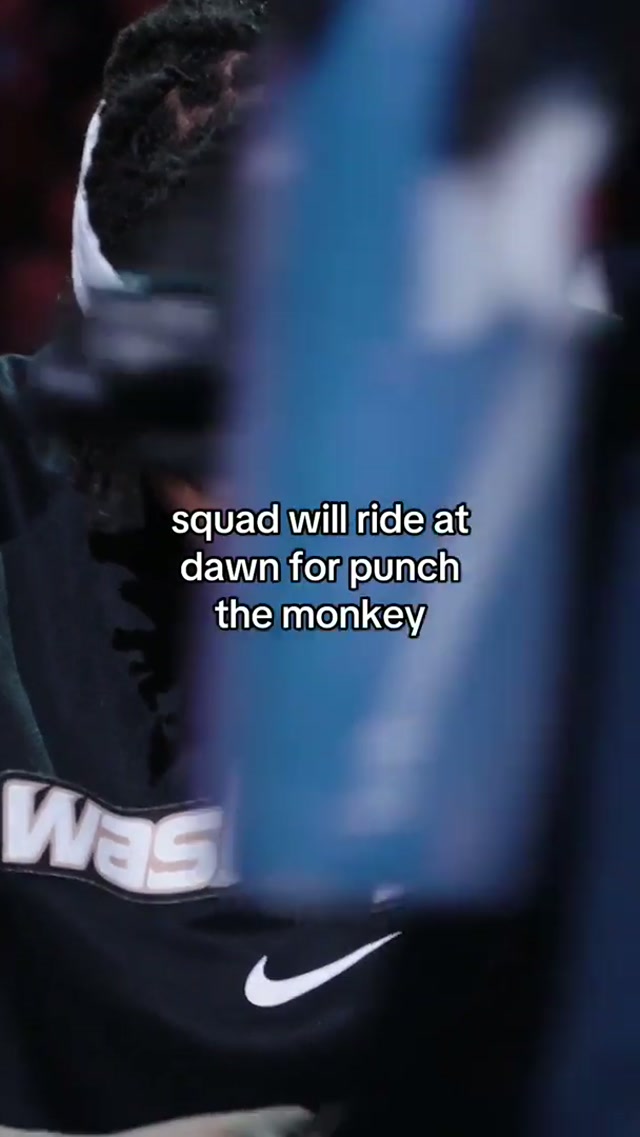 Don’t worry Punch, the squad’s got your back #punch #punchthemonkey #zoo #washingtonwizards 