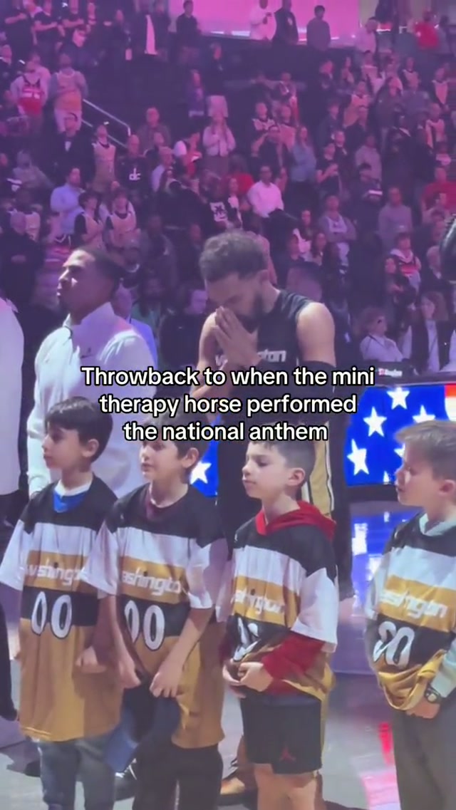So calming #minihorse #minitherapyhorse #horse #washingtonwizards #traeyoung 