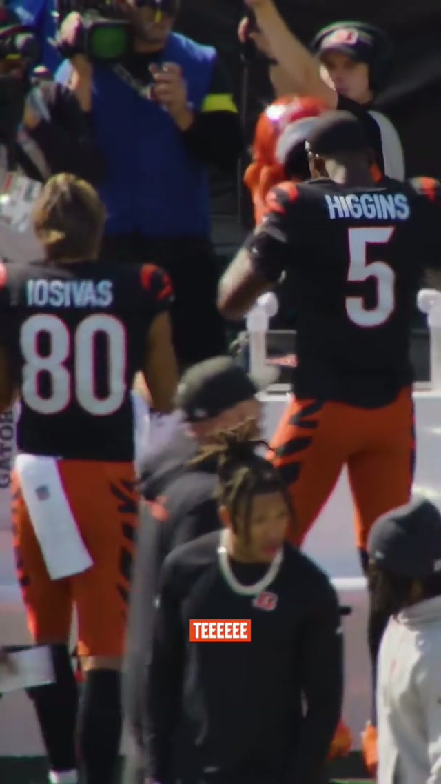 Best of 2025 sideline moments. #bengals #nfl 