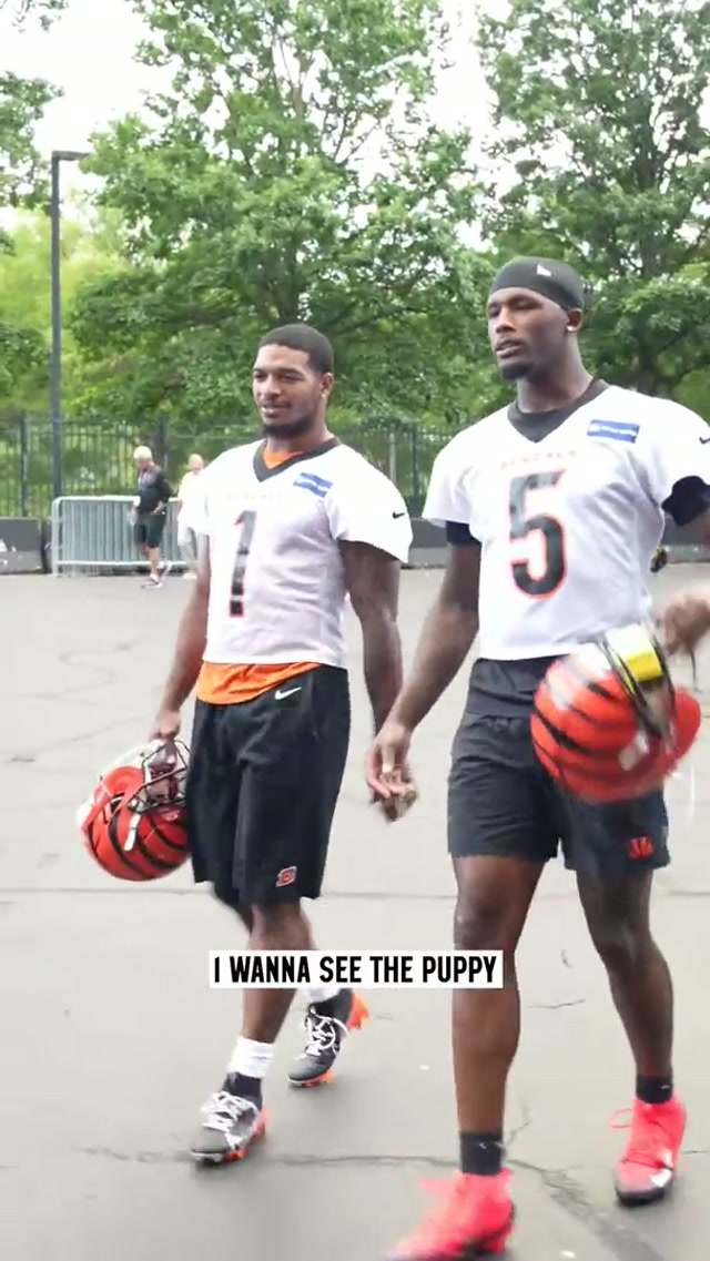 Usually we're cat people, but we'll let it slide for National Puppy Day.