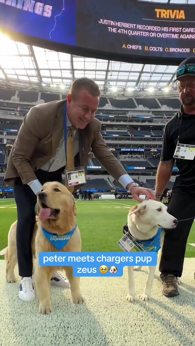 it’s their world and we’re just living in it @Kirk Herbstreit #peter #kirkherbstreit #dogs #nfl #chargers 