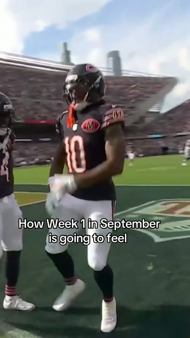 football season wya?? #chicagobears #nfl #celebration 