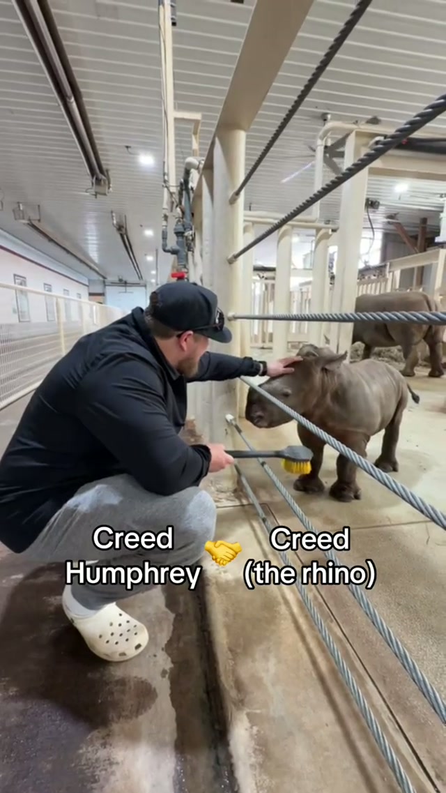 The Rolling Hills Zoo recently named their newest baby rhino after Creed Humphrey 🦏 #chiefs #kansascity #creedhumphrey #babyrhino #salinaks 