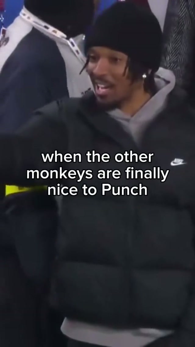 we love you Punch (louder than everyone else) #punch #hopecore #love #kindness 