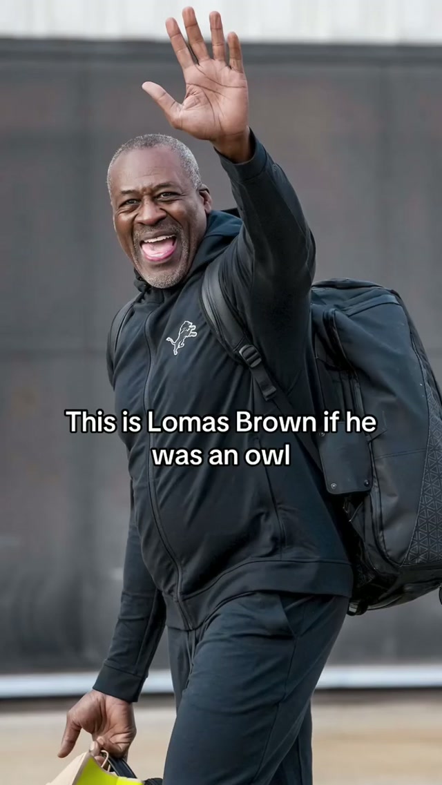 WHO. #DetroitLions #Owl #impression 