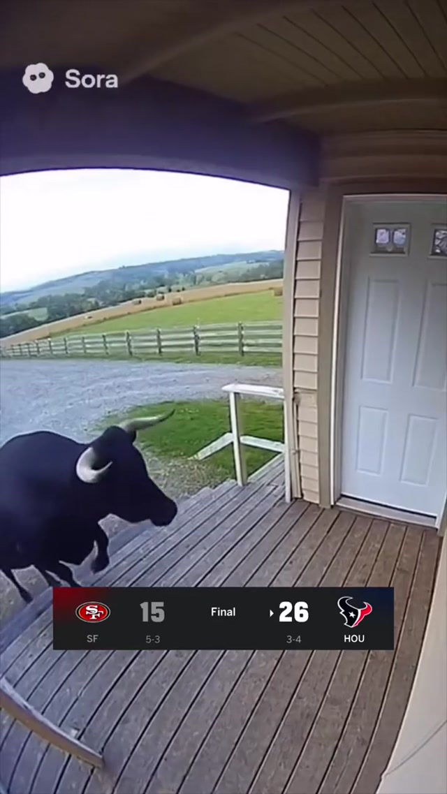 The bull got loose 🤣
#houston #texans #nfl #win #dub (via @TORO 🐃)