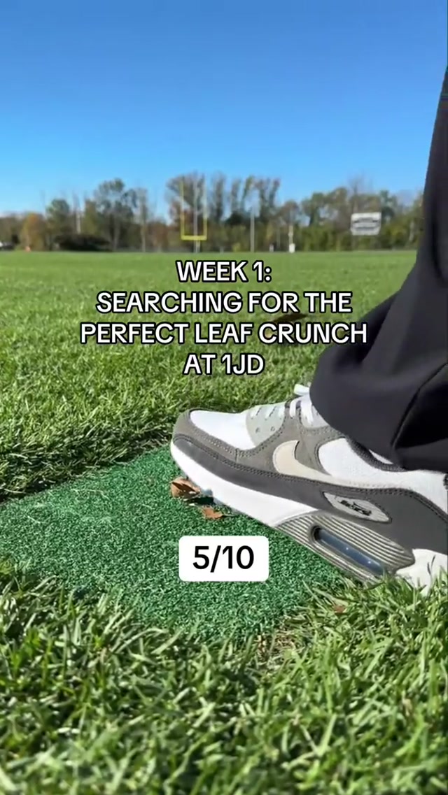 the hunt continues #nyjets #fall #leaf #leaves #crunch