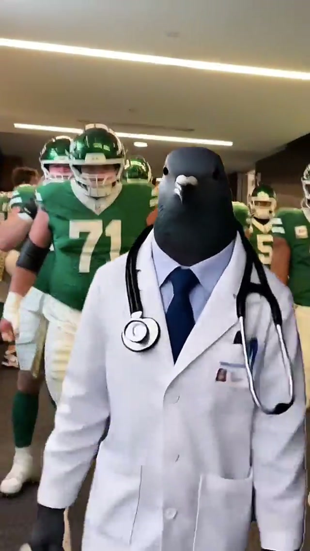 aura +1000000000 #nyjets #pigeondoctor #pigeon #brainrot 