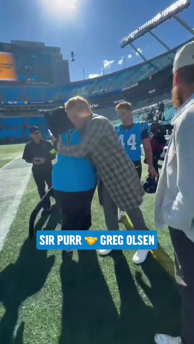 Sir Purr wishing Greg a happy national tight ends day! #carolina #panthers #nationaltightendsday