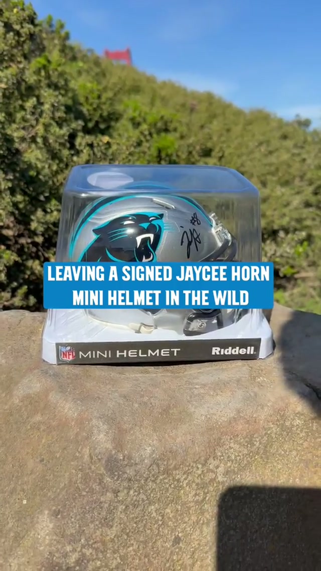 Tag us if you find it! #carolina #panthers #sanfrancisco #goldengate 