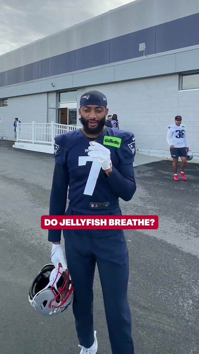 do jellyfish breathe? 🪼 #nfl #patriots 