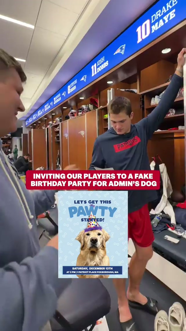 inviting our players to a fake birthday party for admin’s dog 🐾🥳 #nfl #patriots #dog 