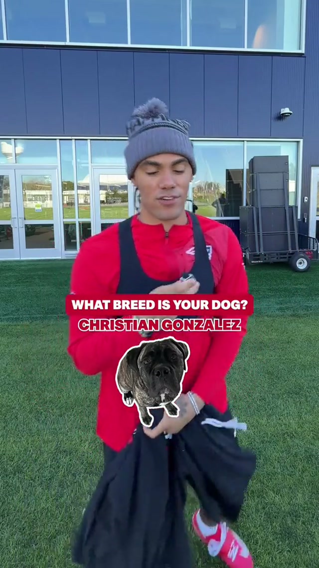 what breed is your dog? 🐕

fans can draft a new member to their team at the pawtriots dog adoption and watch party TOMORROW @gillettestadium #nfl #patriots #dog 