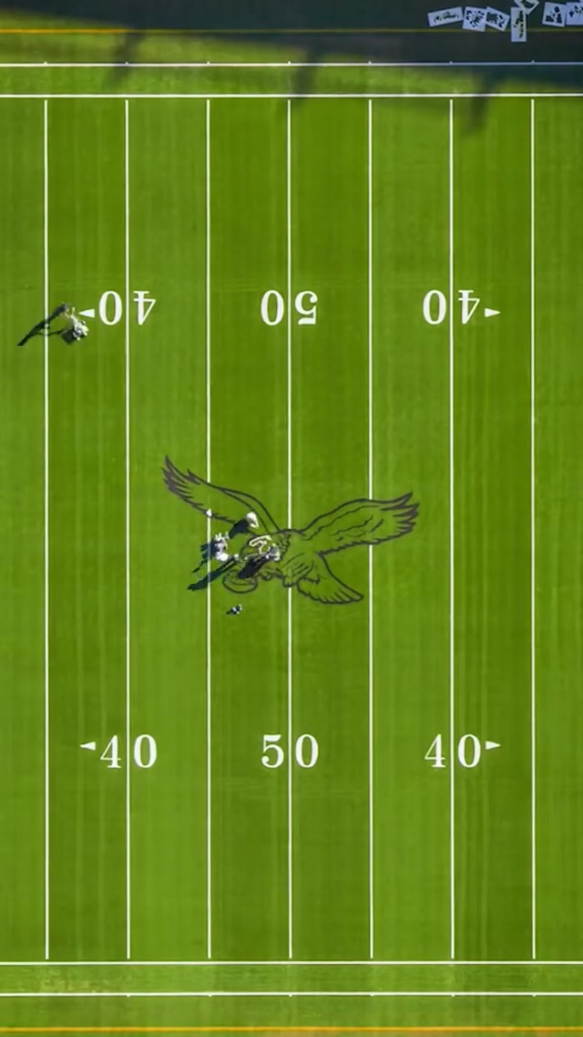 Bird’s eye view #eagles #nfl #fieldpainting #kellygreen 
