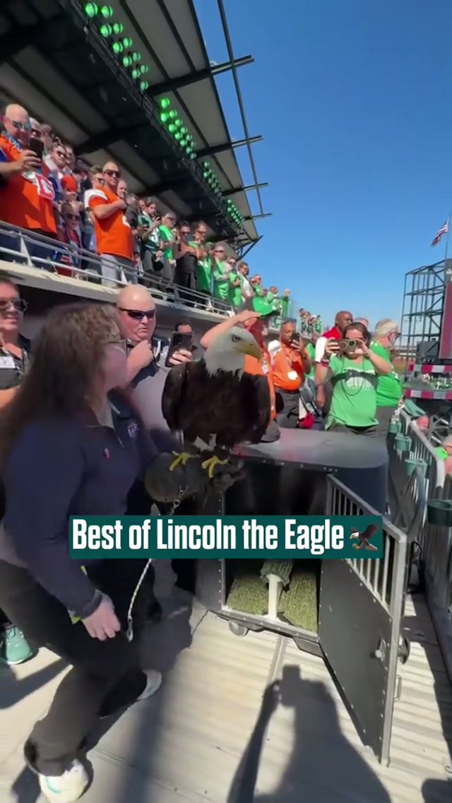 Our favorite Bird doing what he does best 🦅 #eagles #nfl 