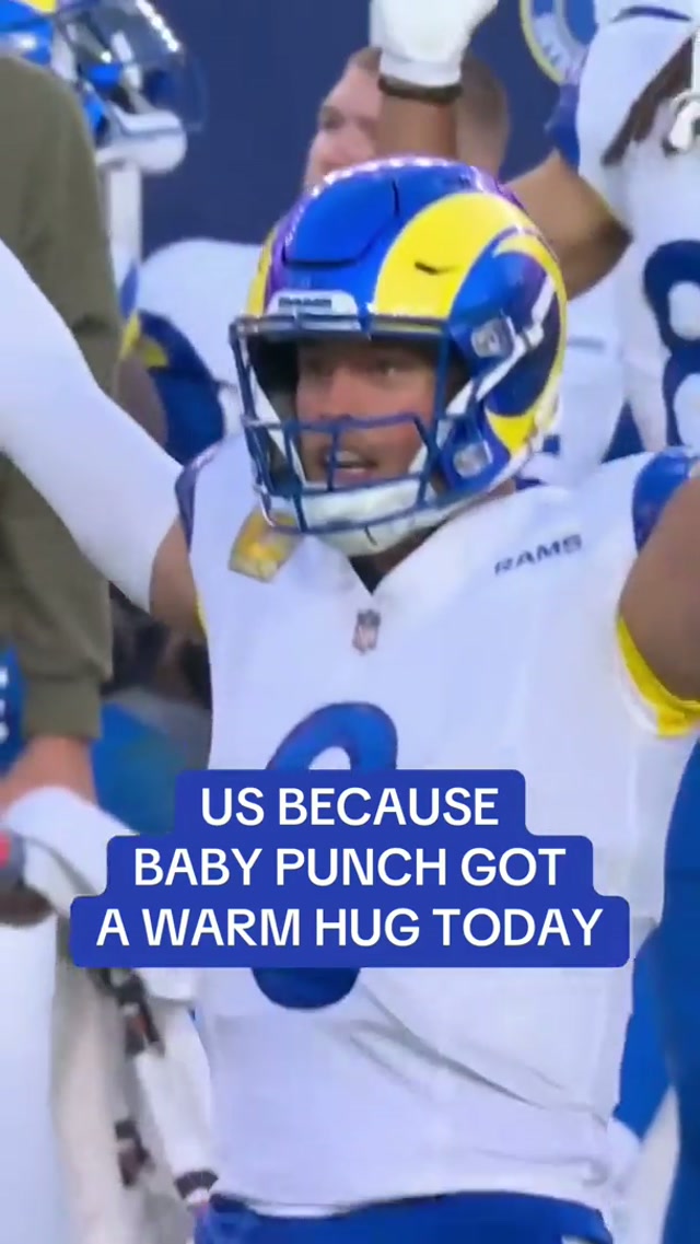 we don’t play about baby punch 🫶 #larams #babypunch #punch #animals #celebrations 