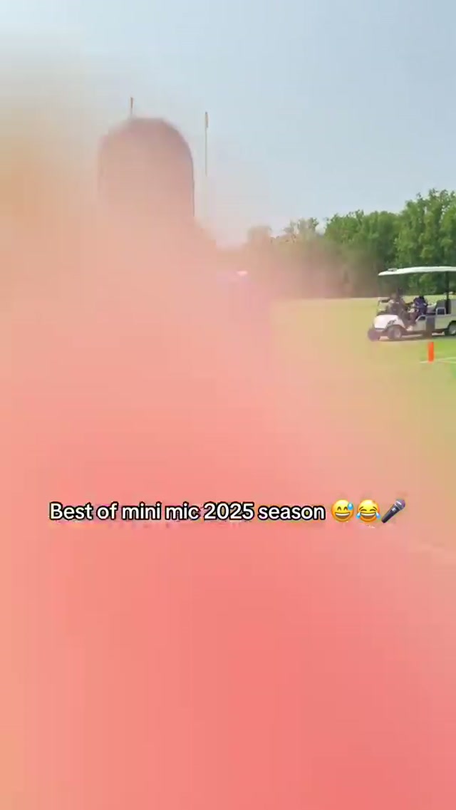 A time was had #minimic #nfl #ravens 