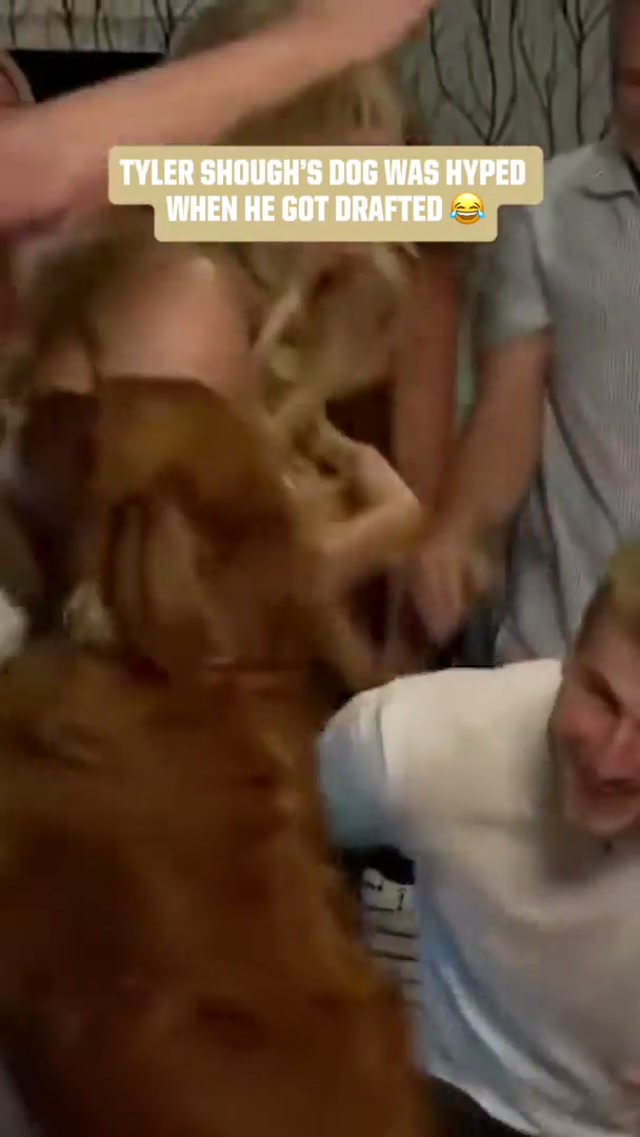 Nobody was happier that the Saints drafted Tyler Shough than his dog Murphy 😂 #NationalPetDay #NFLdraft #NFL #dogsoftiktok #dog 