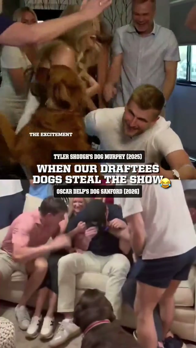 if I had a nickel for every time our draft pick’s dog stole the show, I’d have exactly two nickels. Which isn’t a lot, but it’s weird that it happened twice

 #twice #reaction #drdoofenshmirtz #dogsoftiktok #nfldraft  