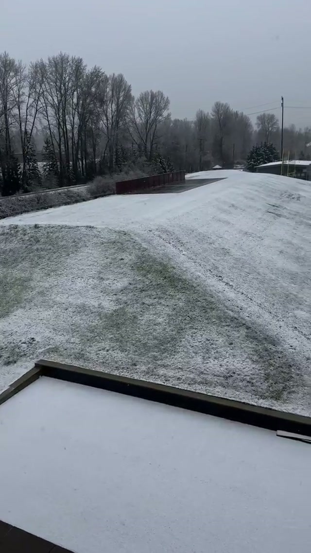 Today’s views from the office. 

#seahawks #nfl #snow 