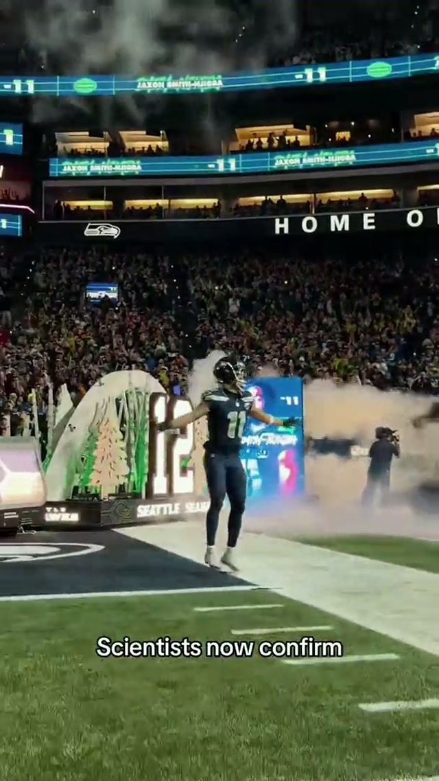 Have a great day, 12s! #nfl #seahawks #trend #jsn #superbowl 