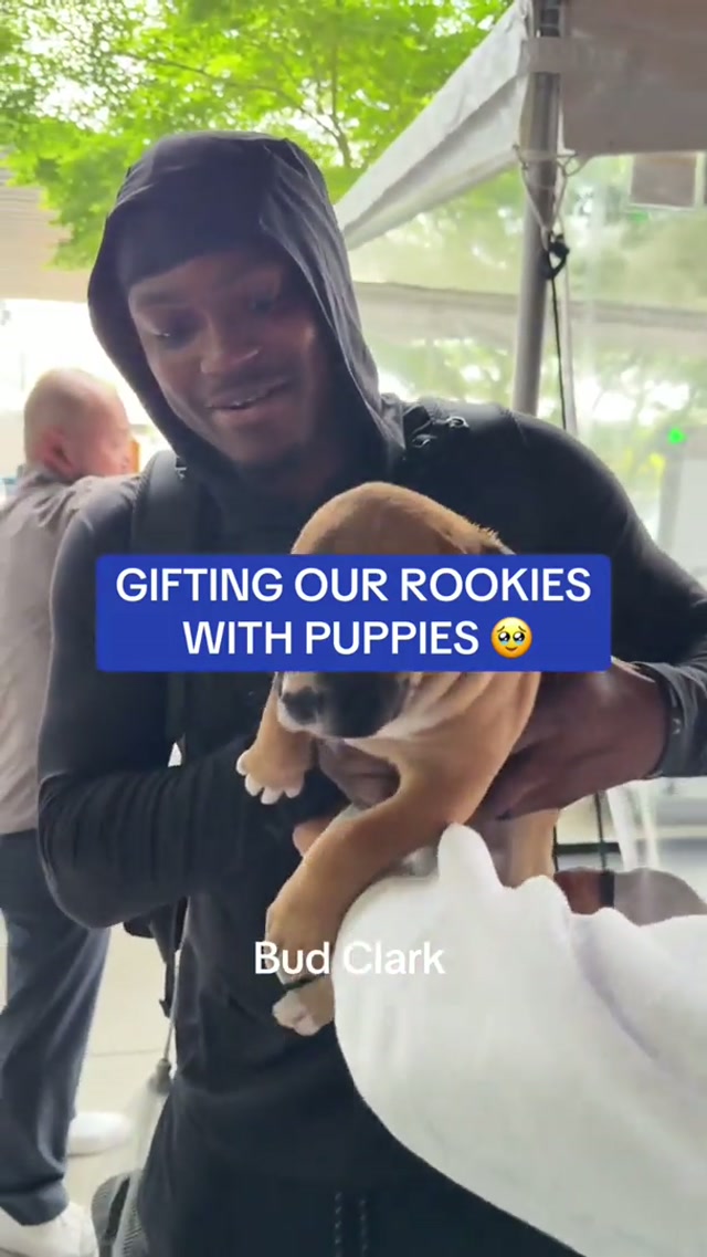 To: Rooks From: Admin + Seattle Humane Society #nfl #puppies #rookies #adopt #minicamp 