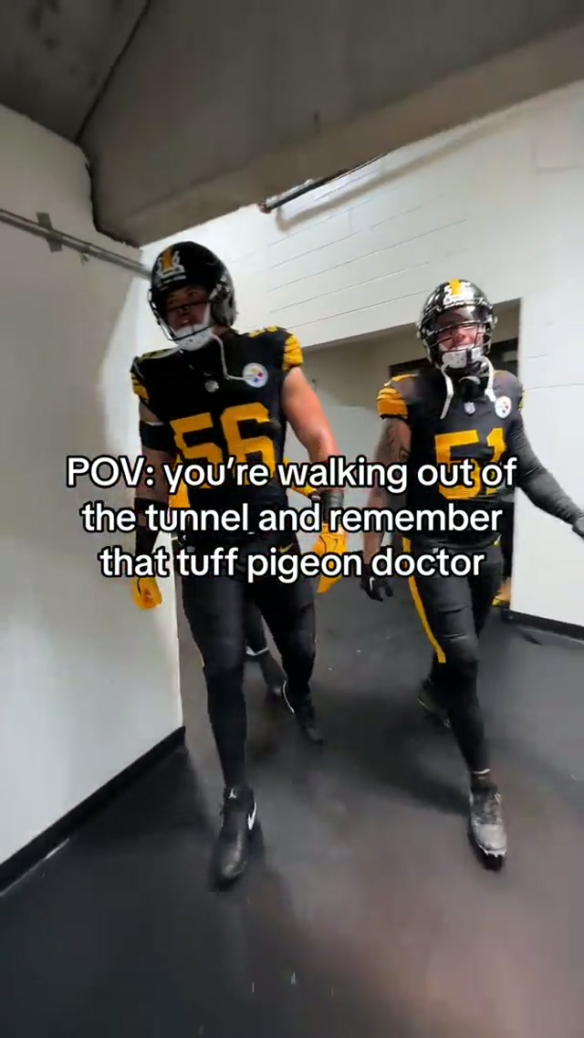 Bro is so tuff 🐦 #pigeondoctor #pigeon #steelers 