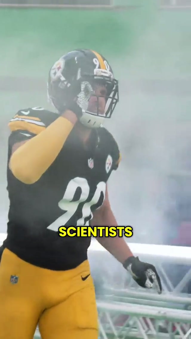 THIS JUST IN‼️ #steelers #nfl #thisjustin