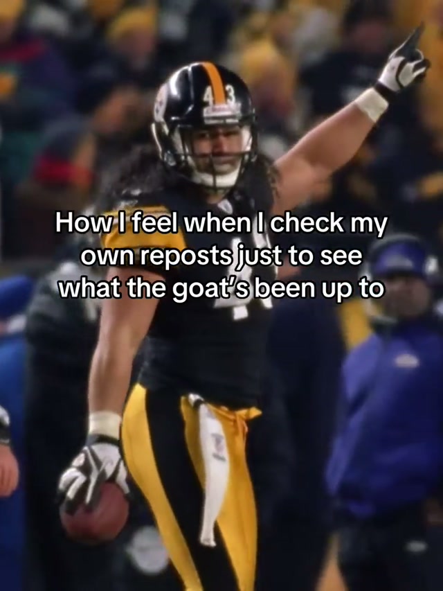 Reposting this #relatable #steelers #troypolamalu 